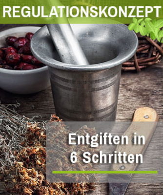 Biotraxx - Entgiften in 6 Schritten